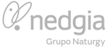 Nedgia Nedgia